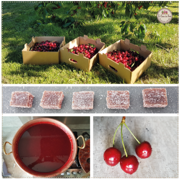 Cerise pâte de fruit lecoeurdufruit