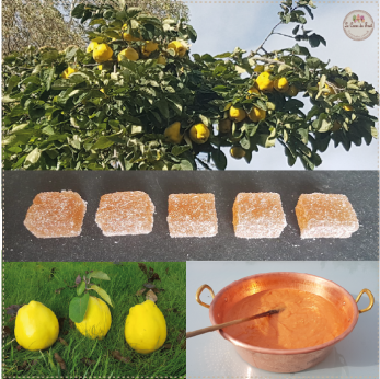 Coing lecoeurdufruit