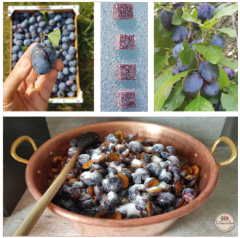 prune lecoeurdufruit