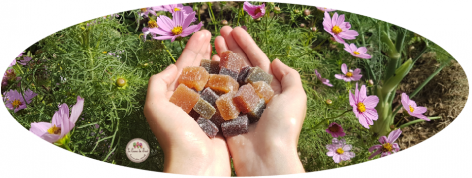 Joséphine pâtes de fruit le cœur du fruit