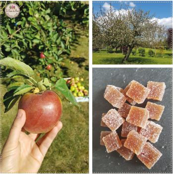 Pomme pates de fruit du Nord lecoeurdufruit
